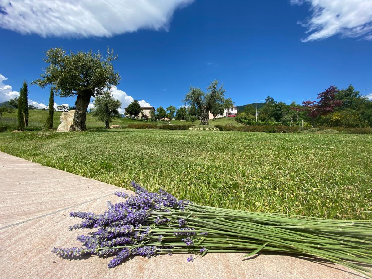 L'Oca Giuliva Relais Bed & Breakfast Gaggio Montano Екстериор снимка