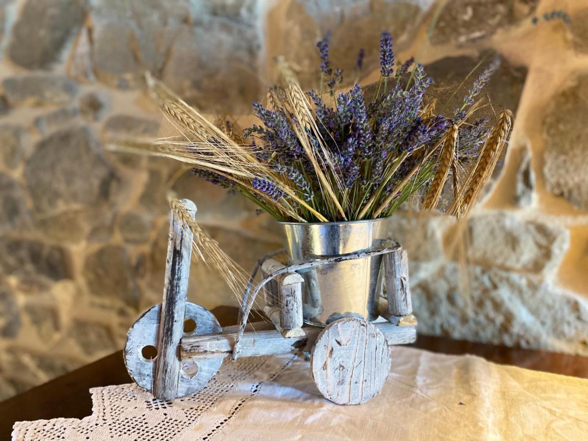 L'Oca Giuliva Relais Bed & Breakfast Gaggio Montano Екстериор снимка